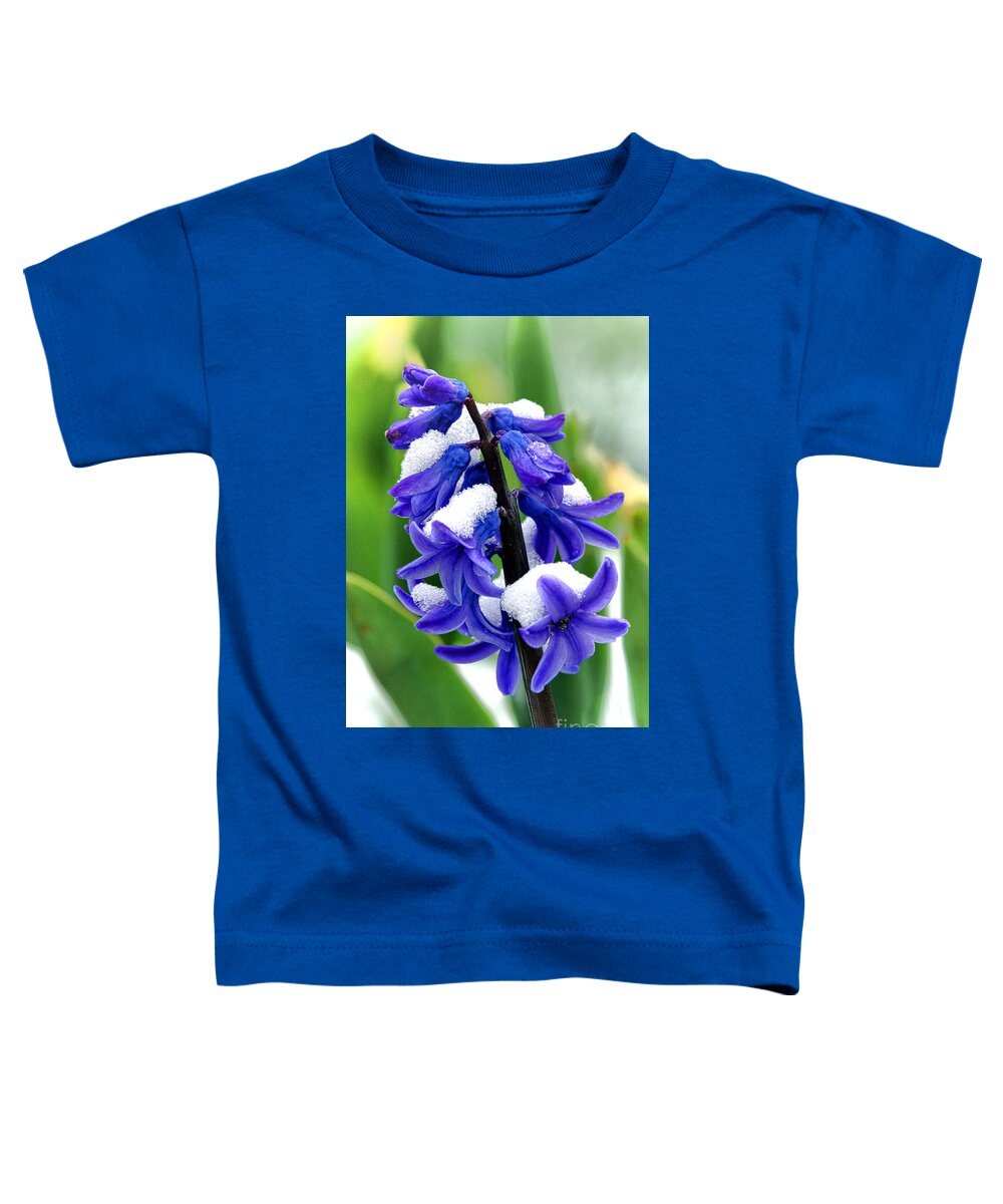 Hyacinth Toddler T-Shirt featuring the photograph Winter Hyacinth by Olivier Le Queinec