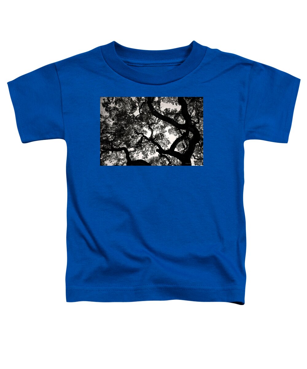 Oak Toddler T-Shirt featuring the photograph 300 Year Old Maze by Ryan Huebel