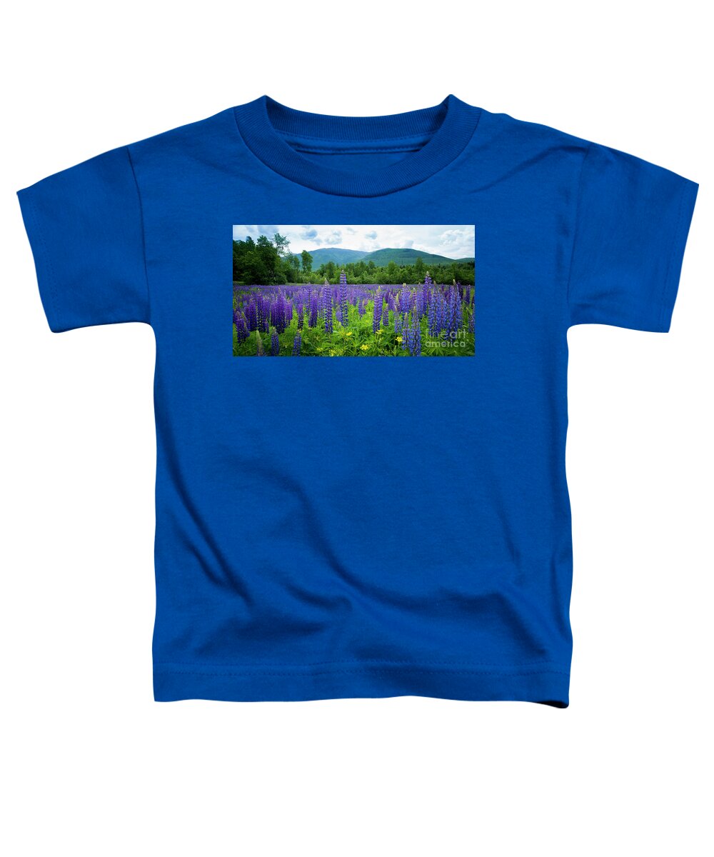 A Field Toddler T-Shirt featuring the photograph A field of Lupines in New Hampshier by Alana Ranney