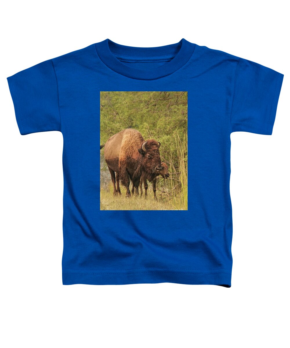 Bison Toddler T-Shirt featuring the photograph Bison Mother and Calf by Nancy Gleason