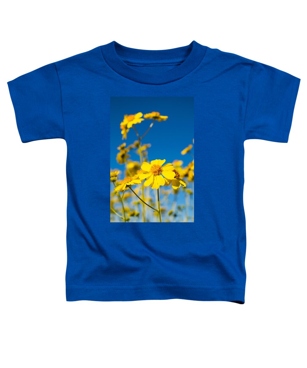 Flower Toddler T-Shirt featuring the photograph Blue Sky and Brittlebush by Bonny Puckett