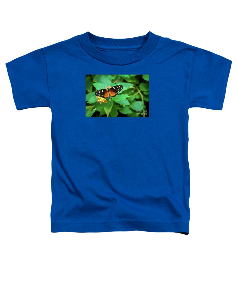 Golden Helicon Toddler T-Shirt featuring the photograph Golden Helicon Butterfly by Nancy Gleason