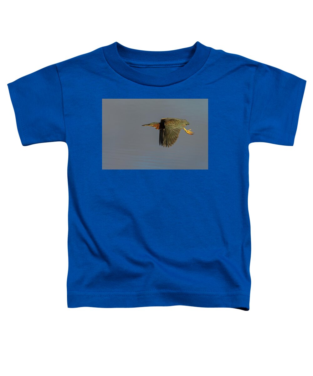 Green Heron Toddler T-Shirt featuring the photograph Green Heron Flight by RD Allen