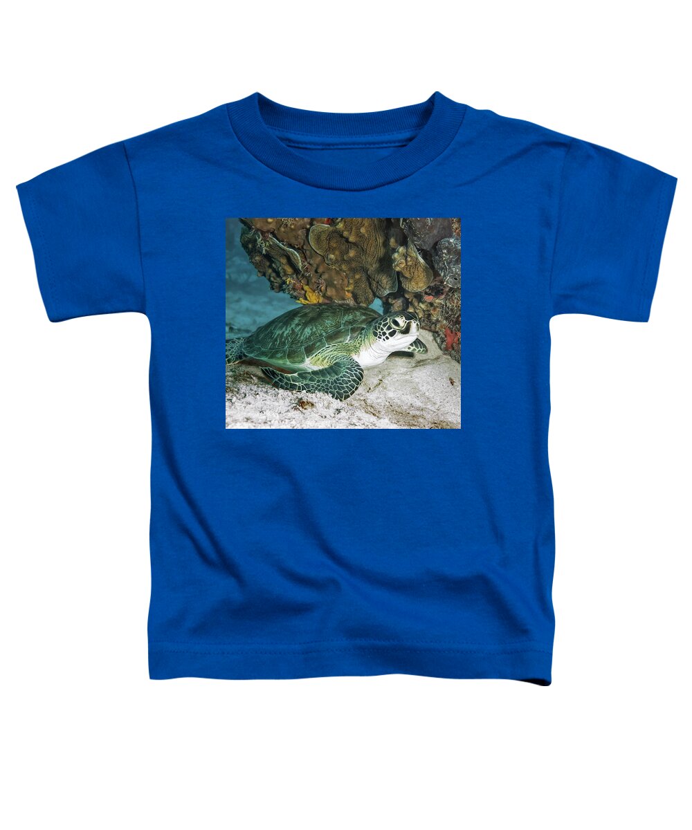 Turtle Toddler T-Shirt featuring the photograph Green Sea Turtle by Susan Hope Finley