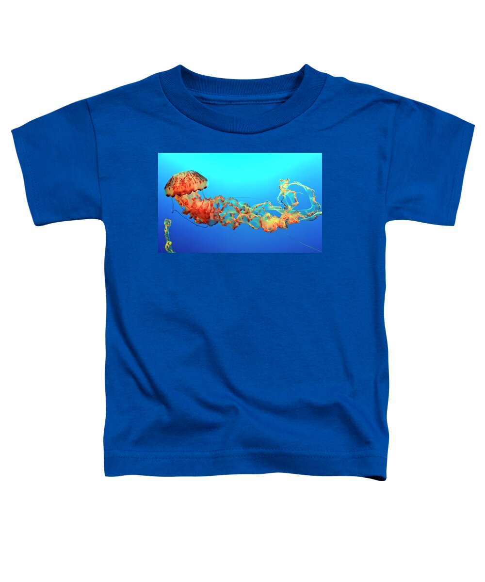 Sea Creatures Toddler T-Shirt featuring the photograph Jellyfish by Eyes Of CC