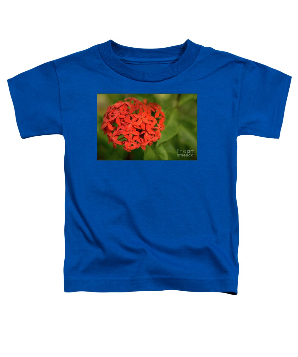 Hawaii Toddler T-Shirt featuring the photograph Jungle Geranium Blossom by Nancy Gleason