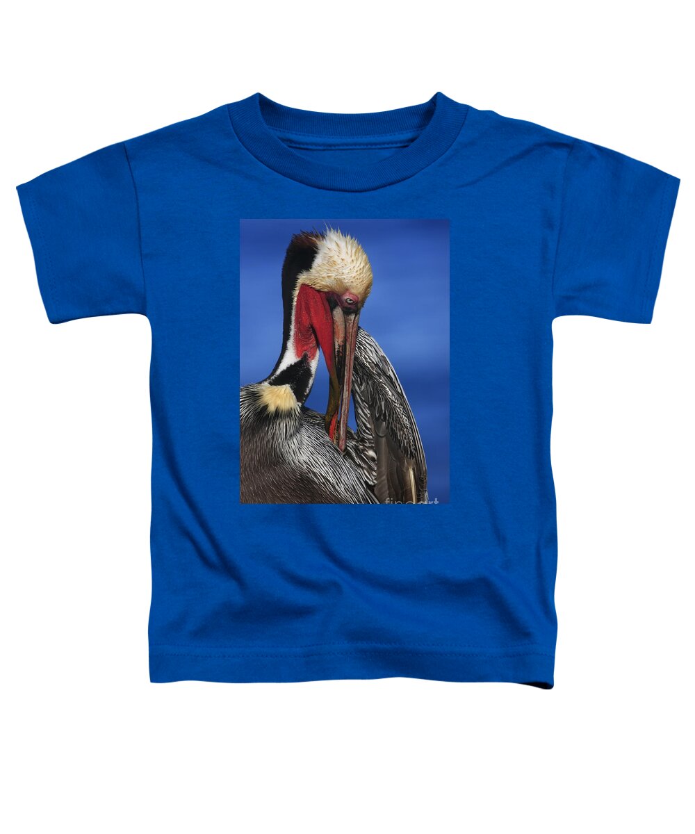 Pelicans Toddler T-Shirt featuring the photograph Pelican In Breeding Colors by John F Tsumas