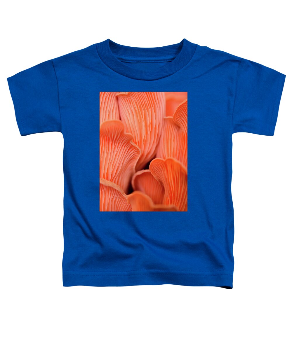Fungi Toddler T-Shirt featuring the photograph Pink Oyster Mushrooms by Bonny Puckett