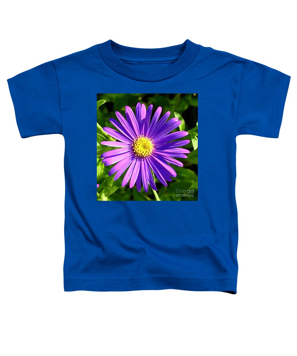 Purple Toddler T-Shirt featuring the photograph Purple Daisy by Suzanne Lorenz