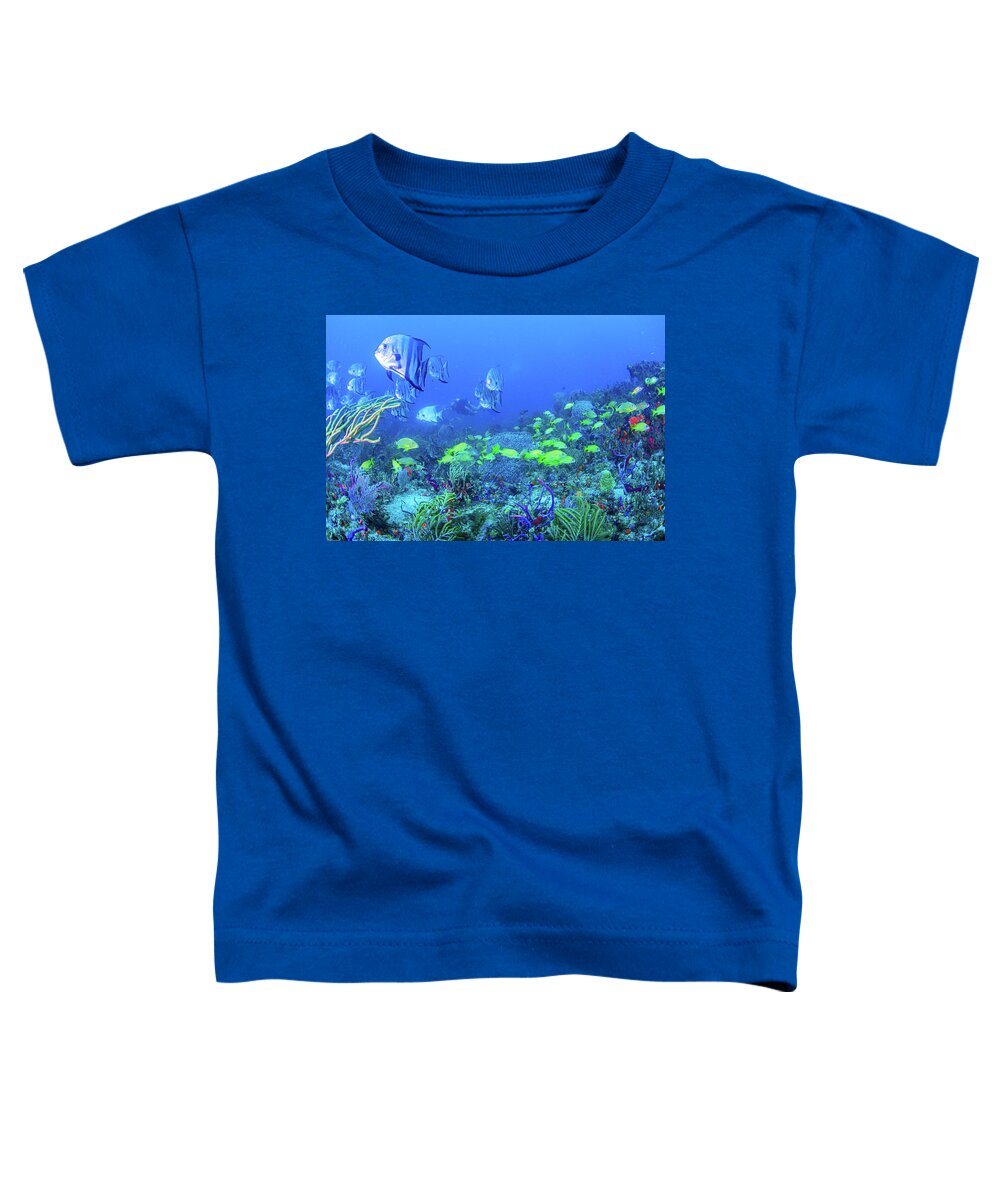 Fish Toddler T-Shirt featuring the photograph Reef Under the Sea by Debra and Dave Vanderlaan