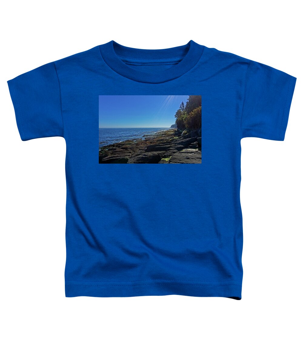 Blue Toddler T-Shirt featuring the photograph Rocky Shore At Salt Creek by David Desautel