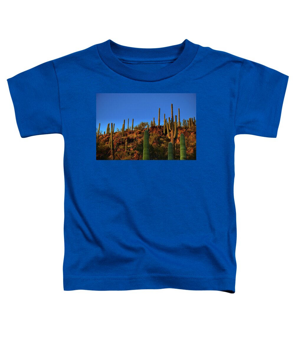 Saguaro Toddler T-Shirt featuring the photograph Saguaro Cacti Golden Hour by Chance Kafka