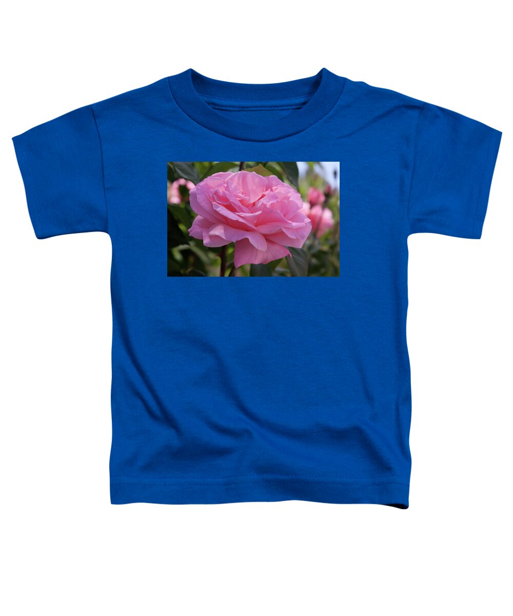 Pink Rose Toddler T-Shirt featuring the photograph Spanish Pink Rose by Tatiana Travelways