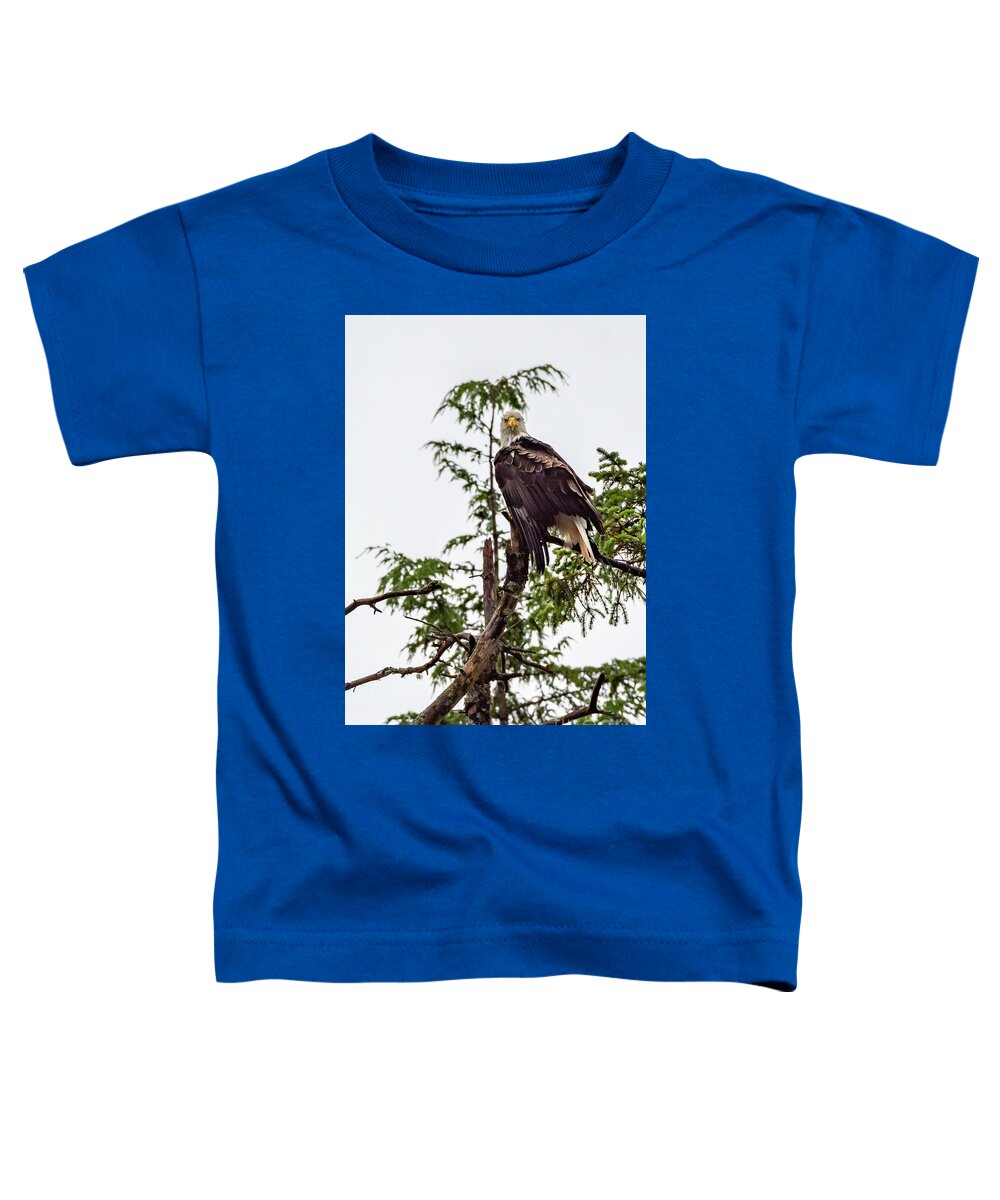 Bald Eagle Toddler T-Shirt featuring the photograph Stern Bald Eagle by Nancy Gleason
