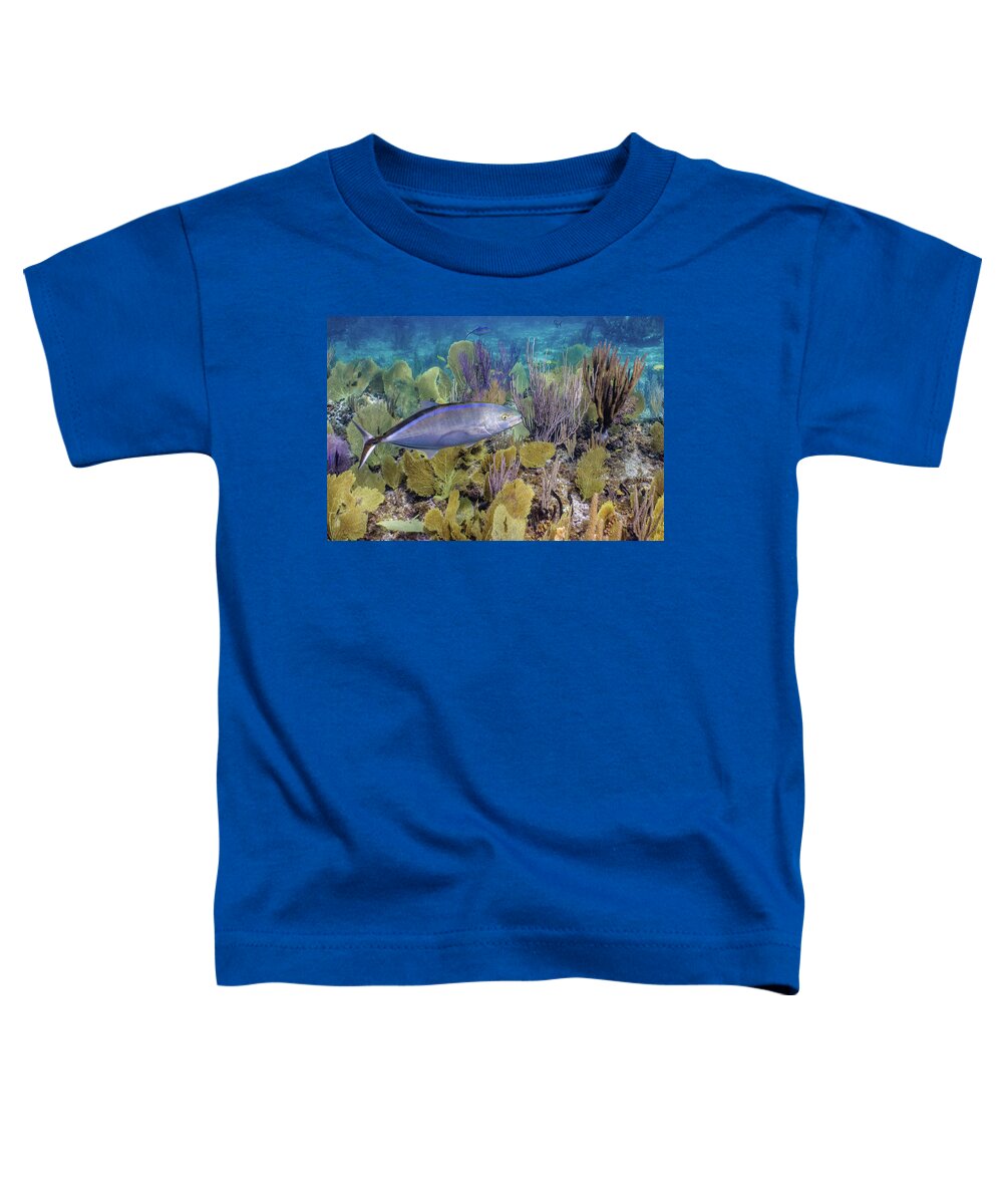 Animals Toddler T-Shirt featuring the photograph The Bar Crossing by Lynne Browne