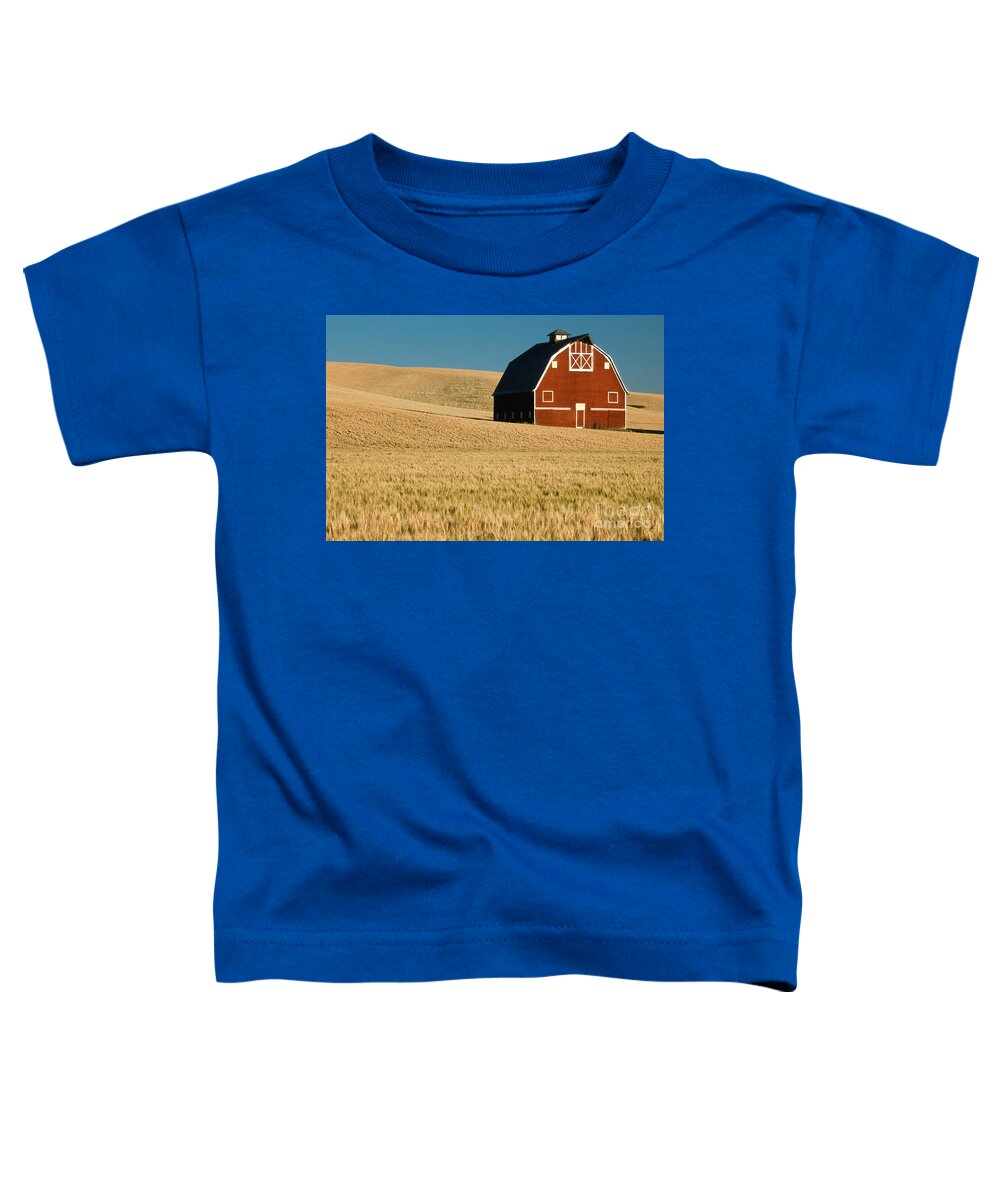 Architecture Toddler T-Shirt featuring the photograph The Simple Life by Sandra Bronstein