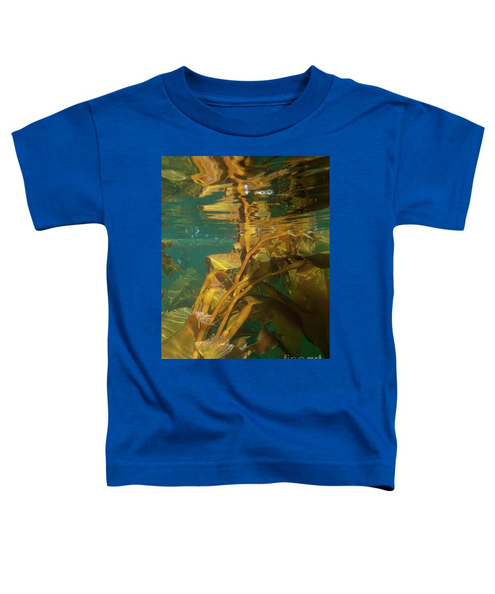 Alaska Toddler T-Shirt featuring the photograph Underwater in the Giant Kelp Forest by Nancy Gleason