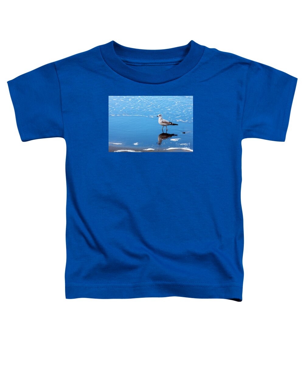 Walk Along The Shoreline Toddler T-Shirt featuring the photograph Walk Along the Shoreline, Beach, Ocean, Blue, Pacific Ocean, by David Millenheft