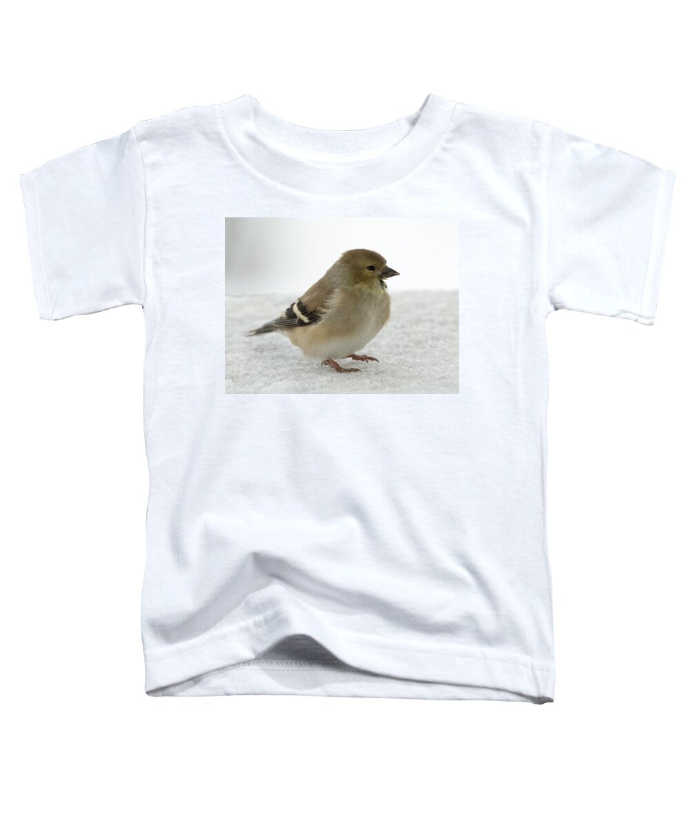 Jan Holden Toddler T-Shirt featuring the photograph American Goldfinch in the Snow by Holden The Moment