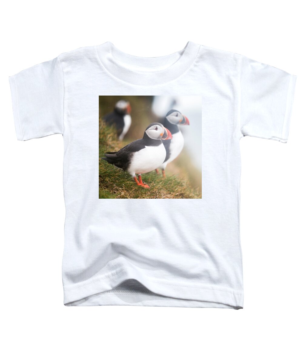 Photography Toddler T-Shirt featuring the photograph Atlantic Puffins Fratercula Arctica #1 by Panoramic Images