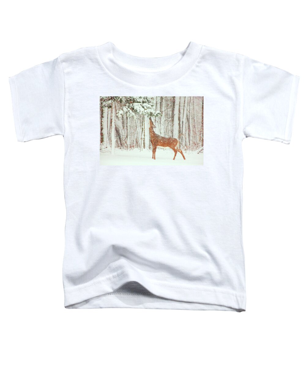 Deer.holidays Toddler T-Shirt featuring the photograph Reach For It #2 by Karol Livote
