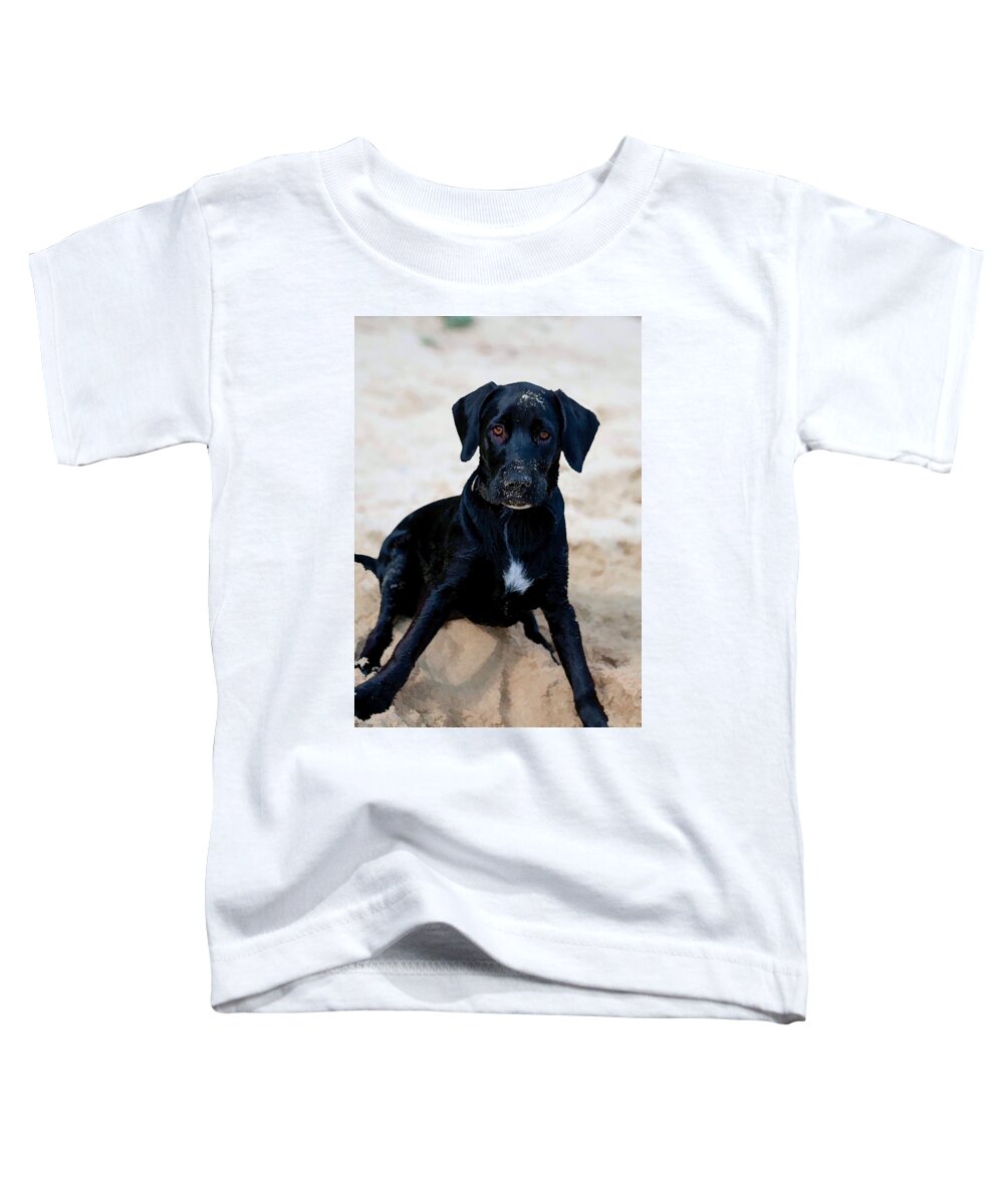 Adorable Toddler T-Shirt featuring the digital art Who Me ? by Roy Pedersen