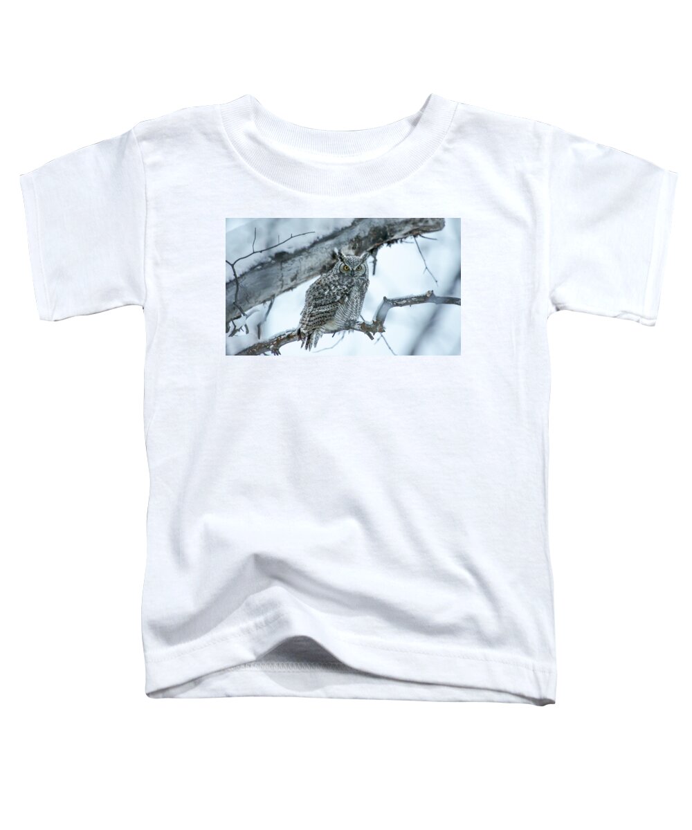 Owl Toddler T-Shirt featuring the photograph Winter Coat #1 by Kevin Dietrich