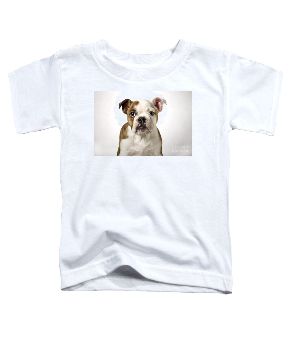 English Bulldog Toddler T-Shirt featuring the photograph 110307p153 by Arterra Picture Library