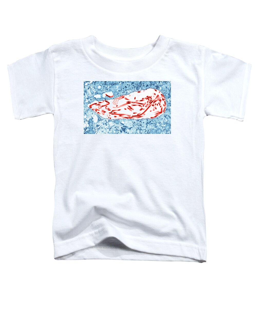 Science Toddler T-Shirt featuring the photograph Ebola Virus, Tem #17 by Science Source