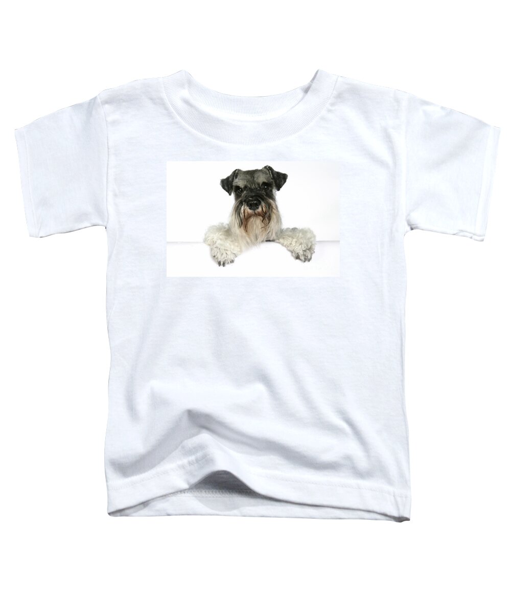 Dog Toddler T-Shirt featuring the photograph Miniature Schnauzer #2 by John Daniels