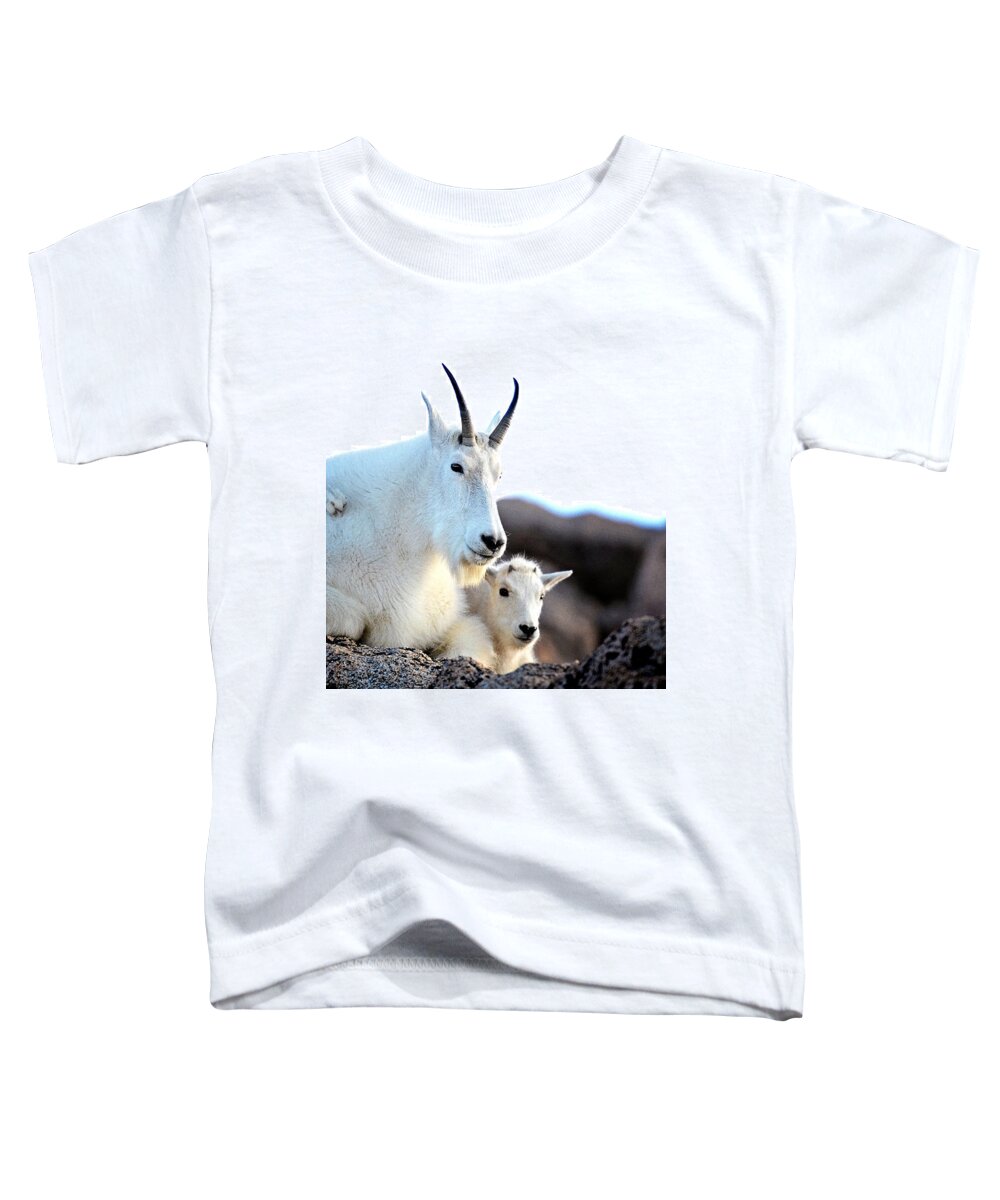 Wildlife Toddler T-Shirt featuring the photograph Rocky Mountain Goats - Nanny and Kid by Lena Owens - OLena Art Vibrant Palette Knife and Graphic Design