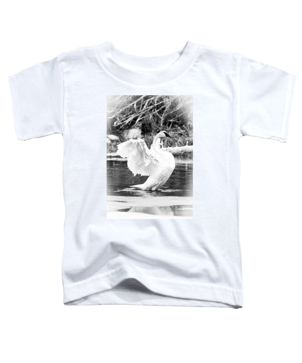 Trumpeter Swan Toddler T-Shirt featuring the photograph Beauty #3 by Cheryl Baxter