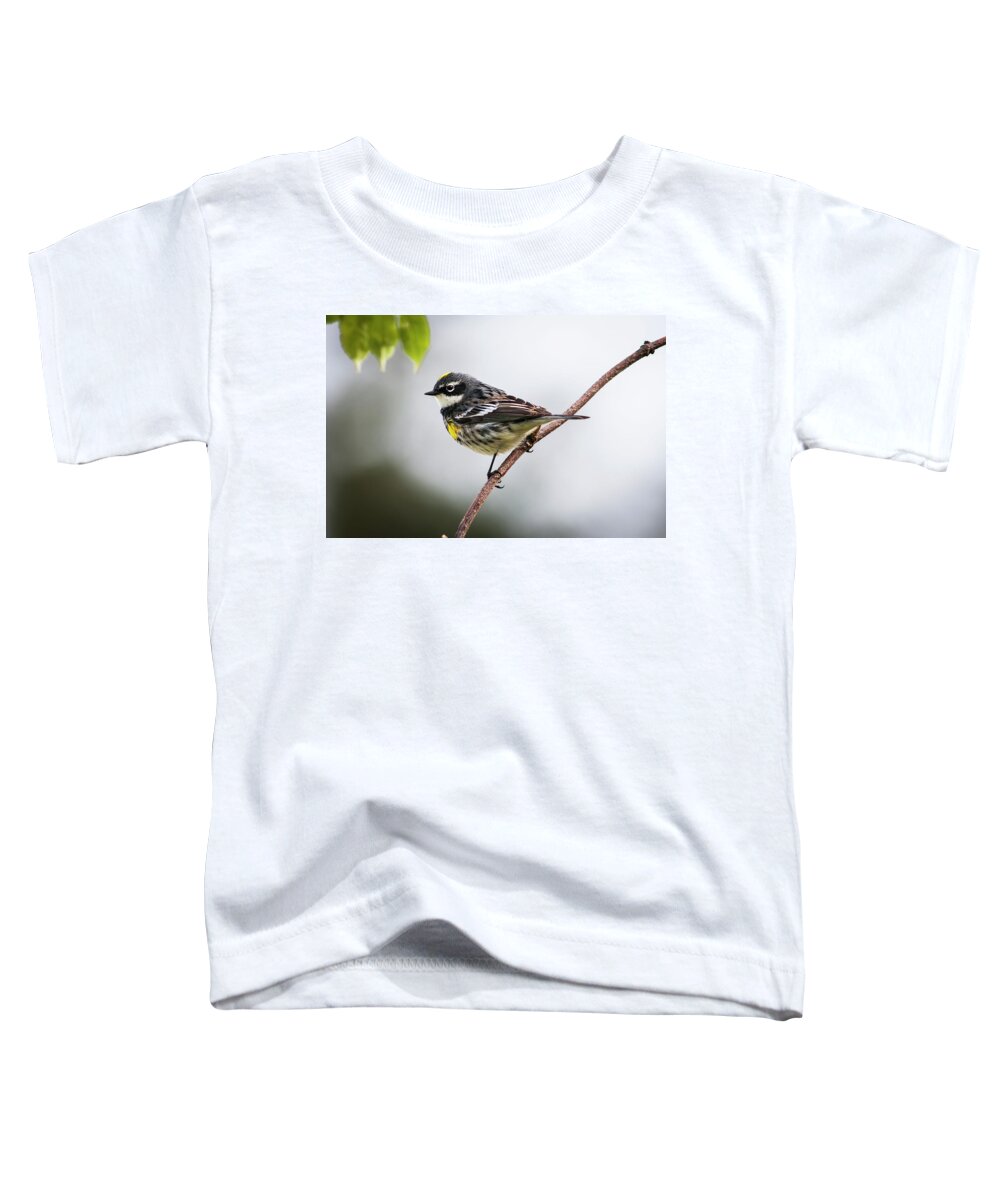 Warbler Toddler T-Shirt featuring the photograph A Male Yellow-rumped Warbler Setophaga by Robert L. Potts