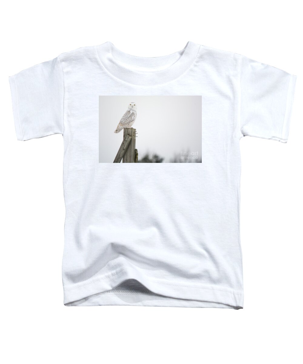 Field Toddler T-Shirt featuring the photograph Above the Trees by Cheryl Baxter