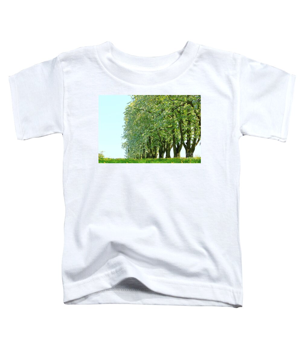 Autumn Toddler T-Shirt featuring the photograph Alley of Trees by Amanda Mohler