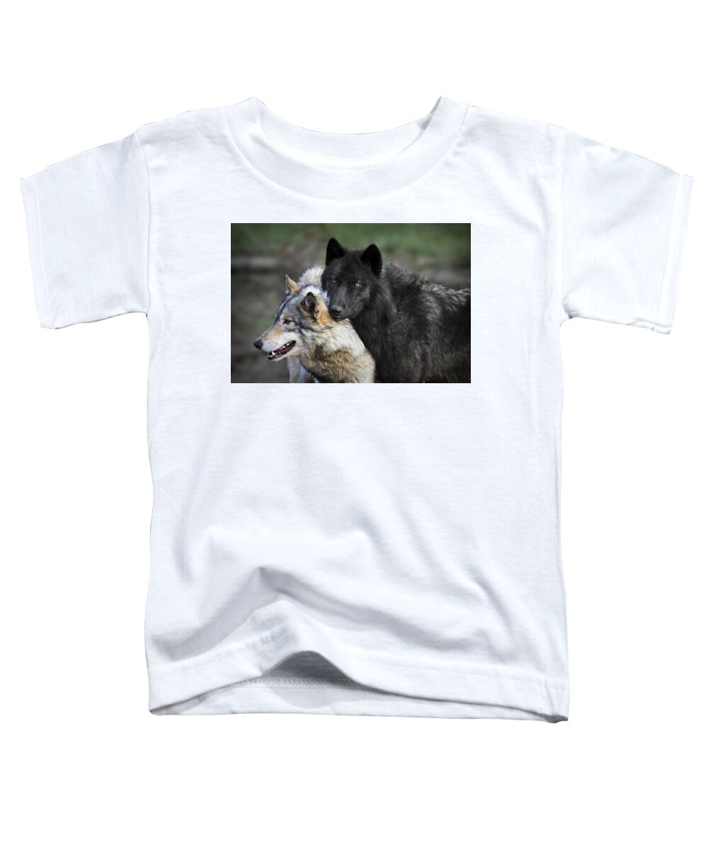Alpha Couple Toddler T-Shirt featuring the photograph Alpha Couple by Wes and Dotty Weber