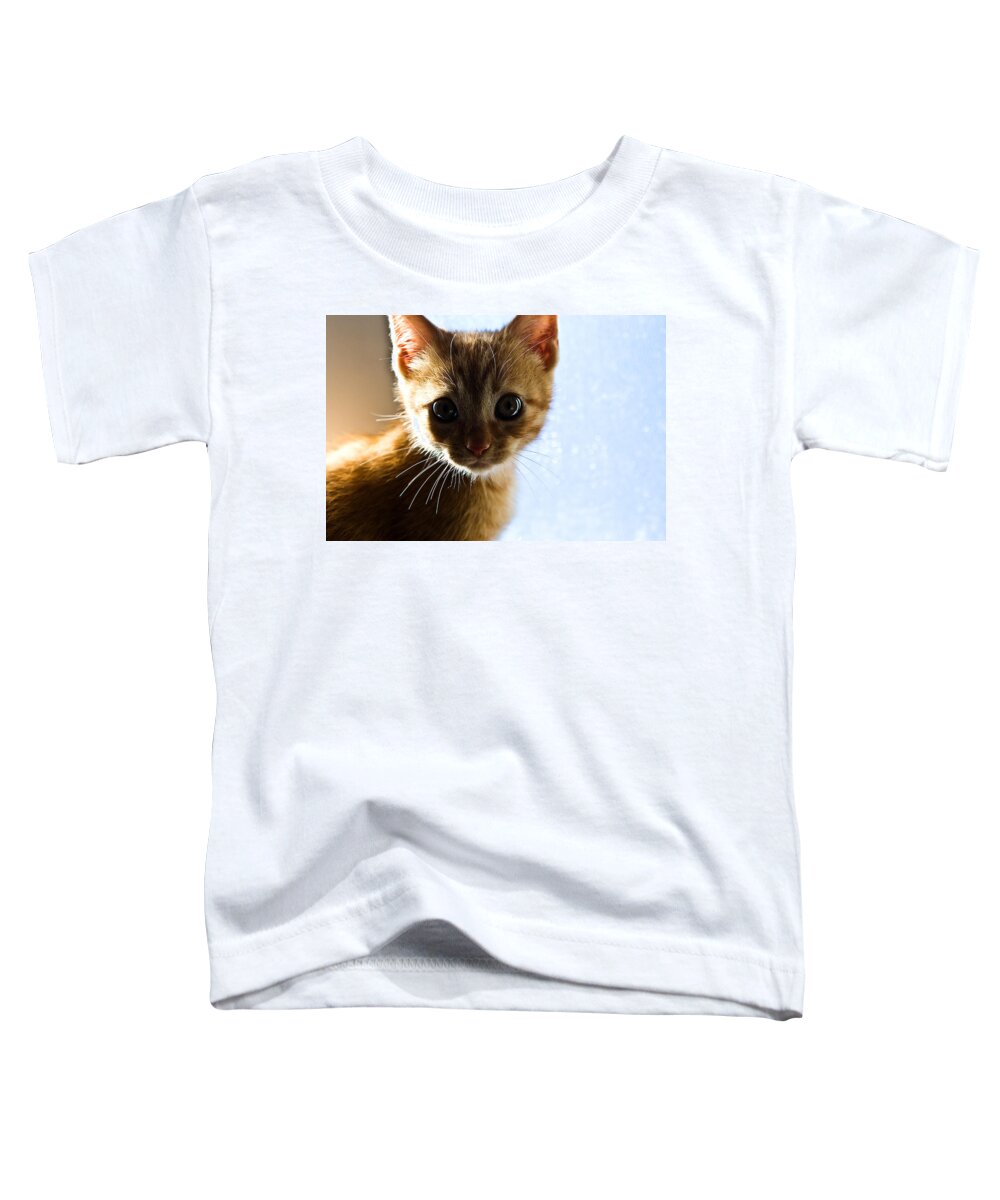 Cat Toddler T-Shirt featuring the photograph Amazed by Jorge Maia