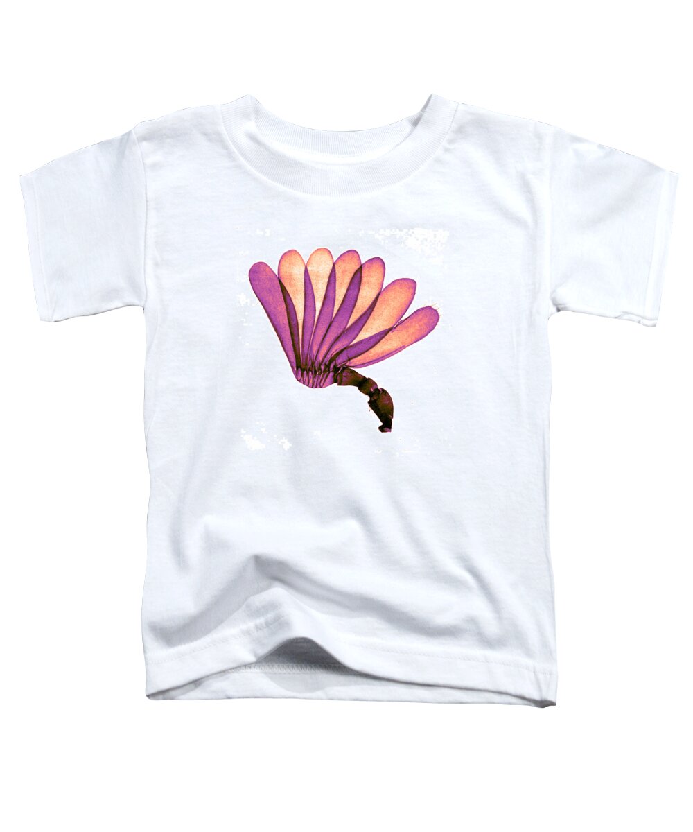 History Toddler T-Shirt featuring the photograph Antenna Of Cockchafer, Early by Science Source