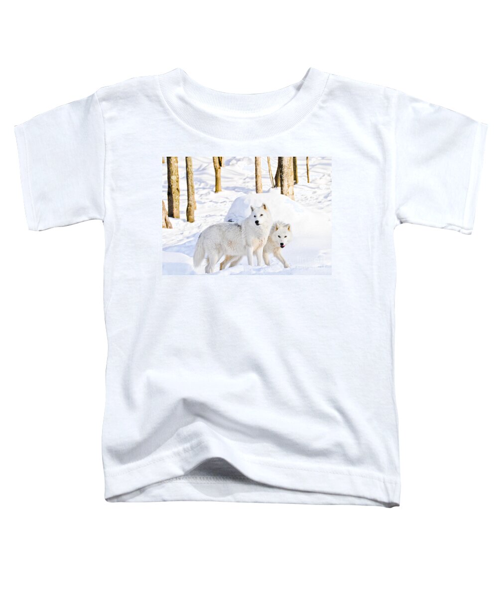 Arctic Wolves Toddler T-Shirt featuring the photograph Arctic Wolves by Cheryl Baxter