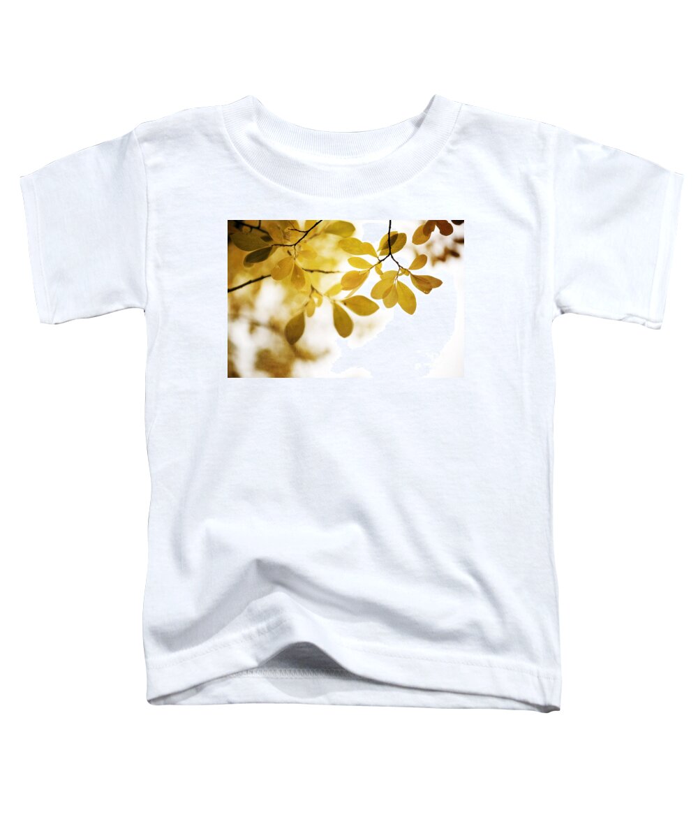 Leaf Toddler T-Shirt featuring the photograph Autumn Gold by Priska Wettstein