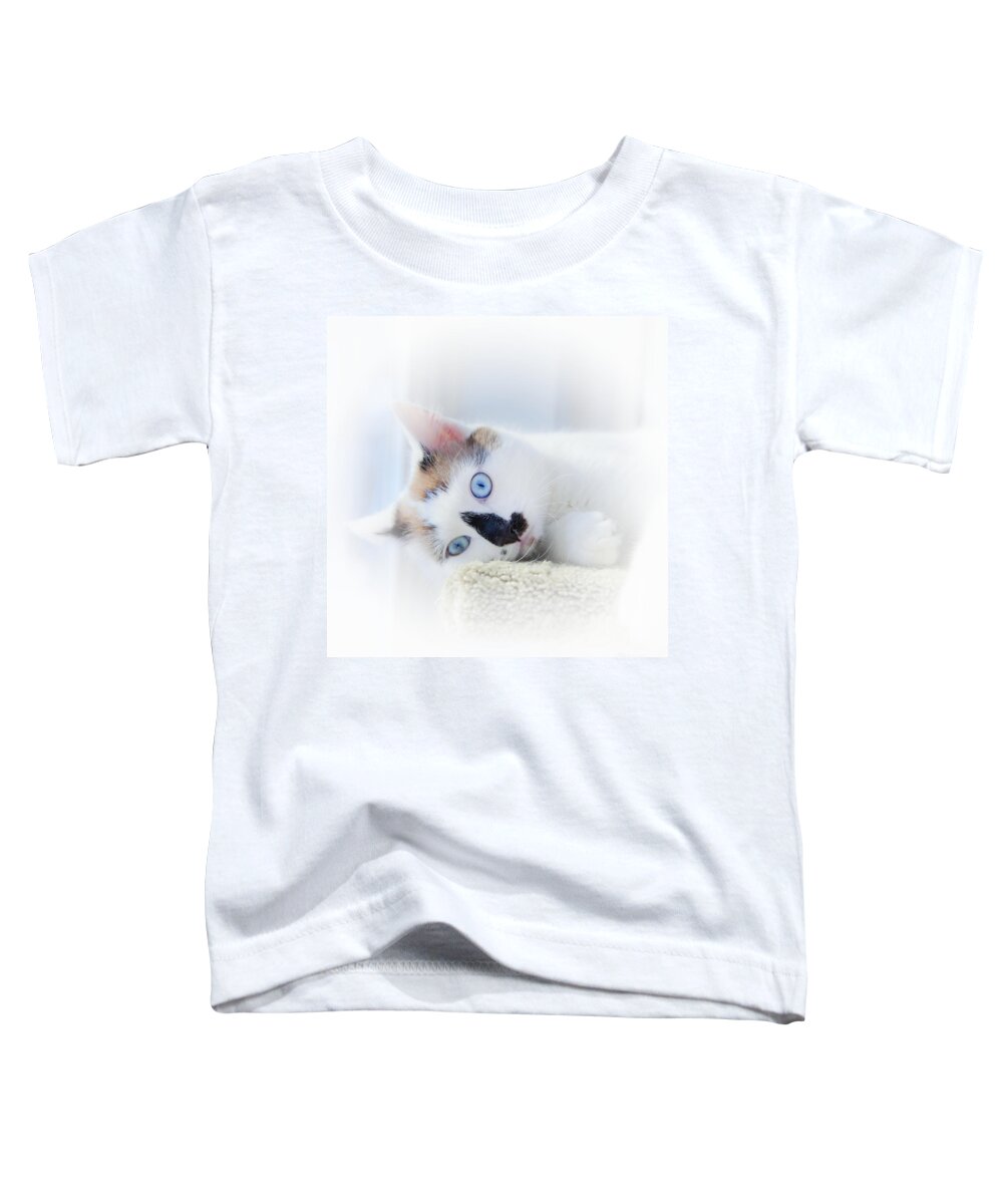 Kitten Toddler T-Shirt featuring the photograph Baby Blue Eyes by Theresa Tahara