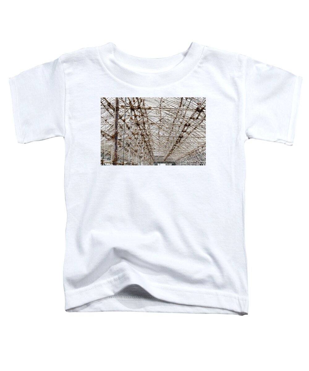 Bamboo Toddler T-Shirt featuring the photograph Bamboo structure 3 by Sumit Mehndiratta