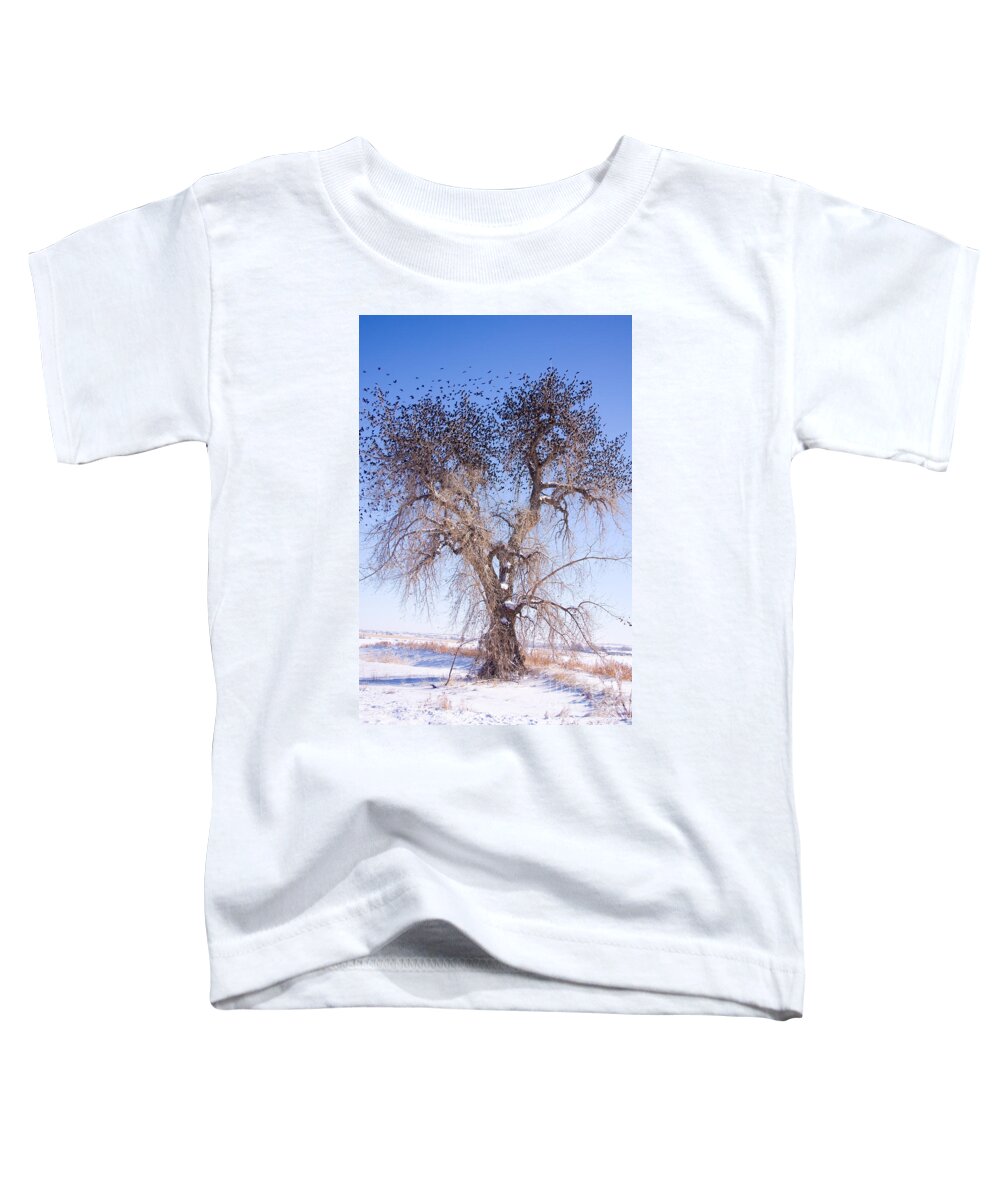 Winter Toddler T-Shirt featuring the photograph Birdland by James BO Insogna