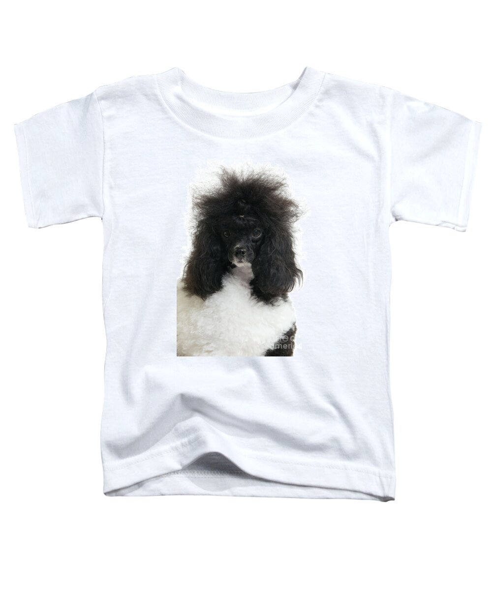 Poodle Toddler T-Shirt featuring the photograph Black And White Poodle by Jean-Michel Labat