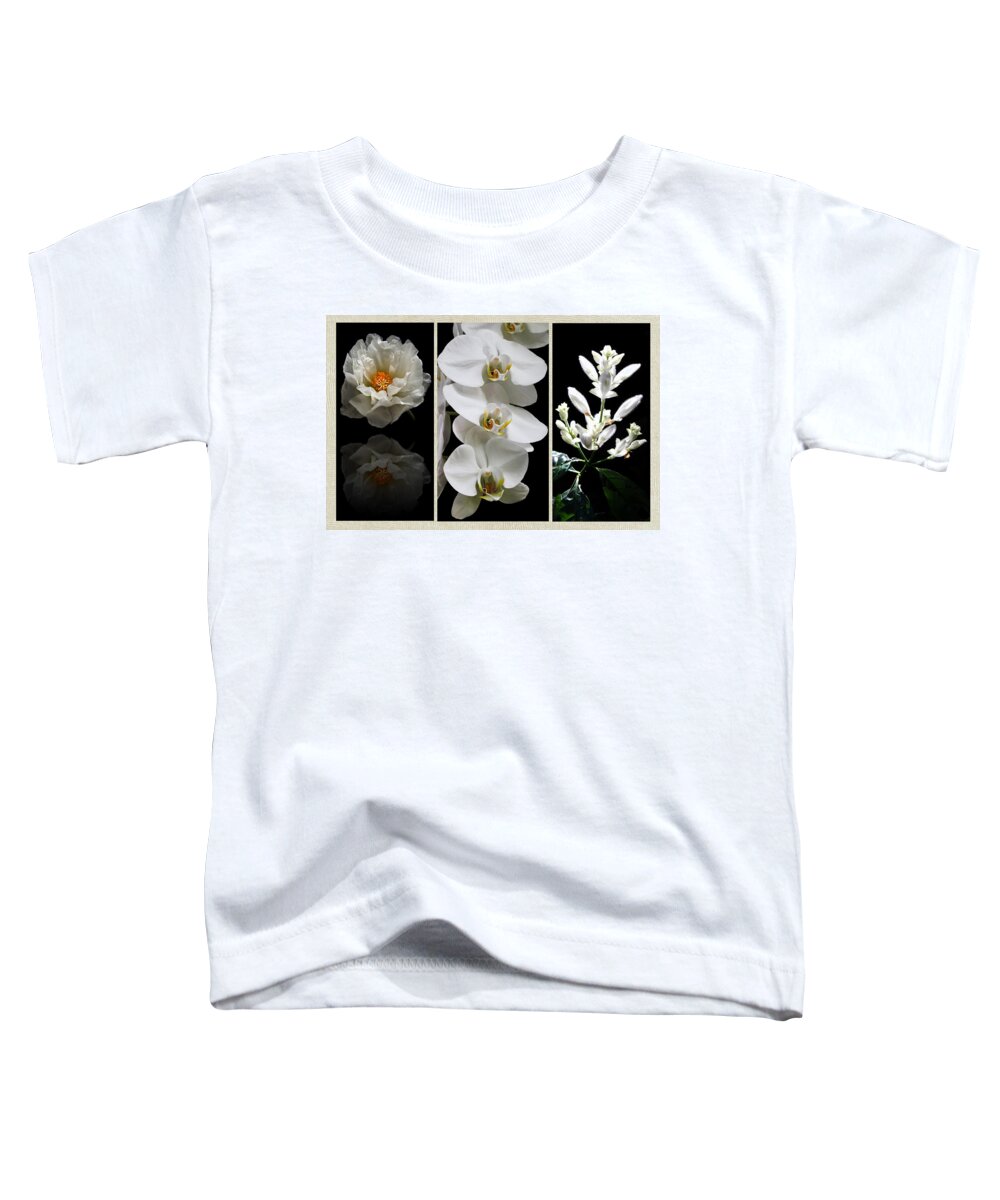 Triptych Toddler T-Shirt featuring the photograph Black and White Triptych by Judy Vincent