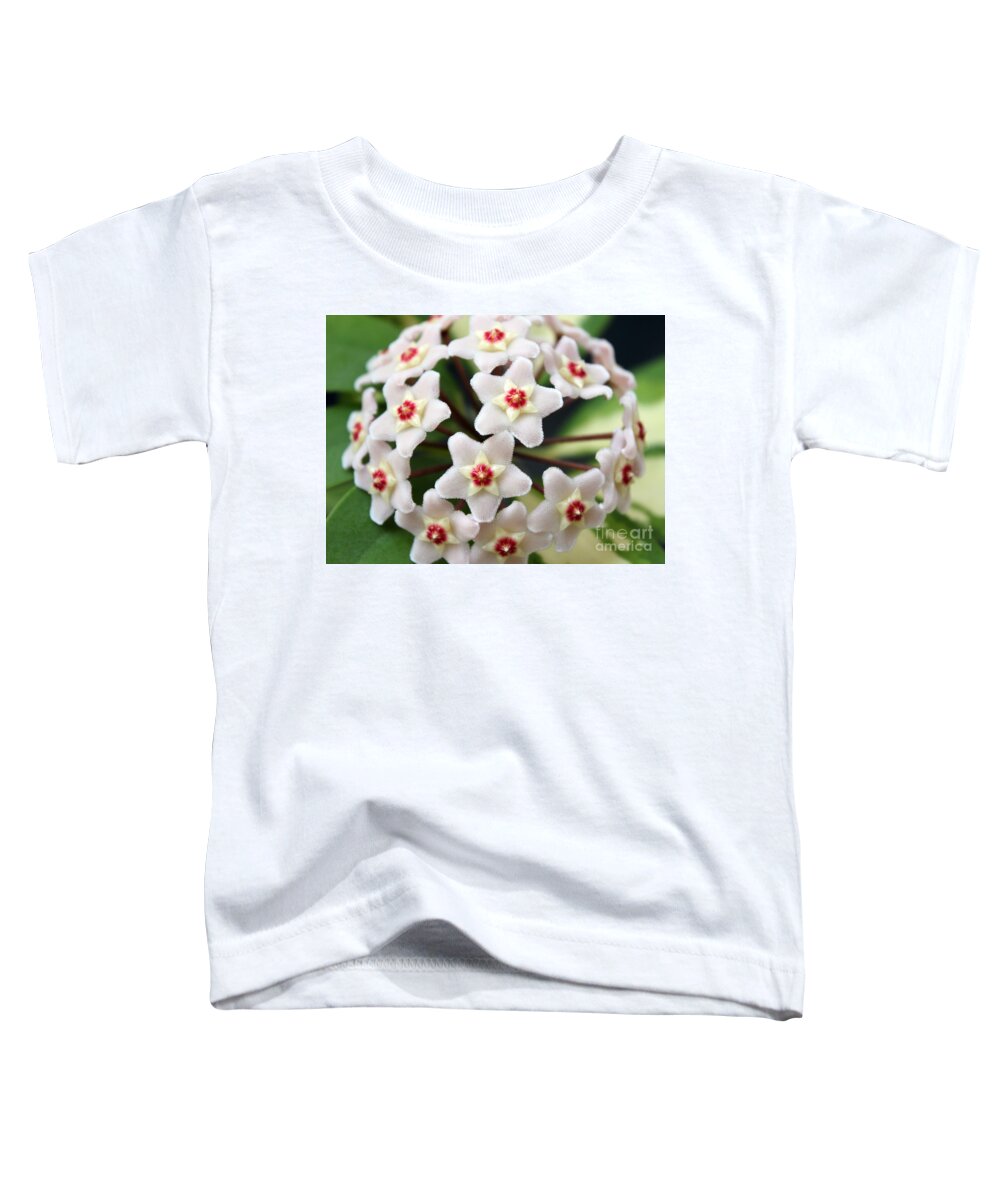 Flower Toddler T-Shirt featuring the photograph Blossom Explosion by Debbie Hart