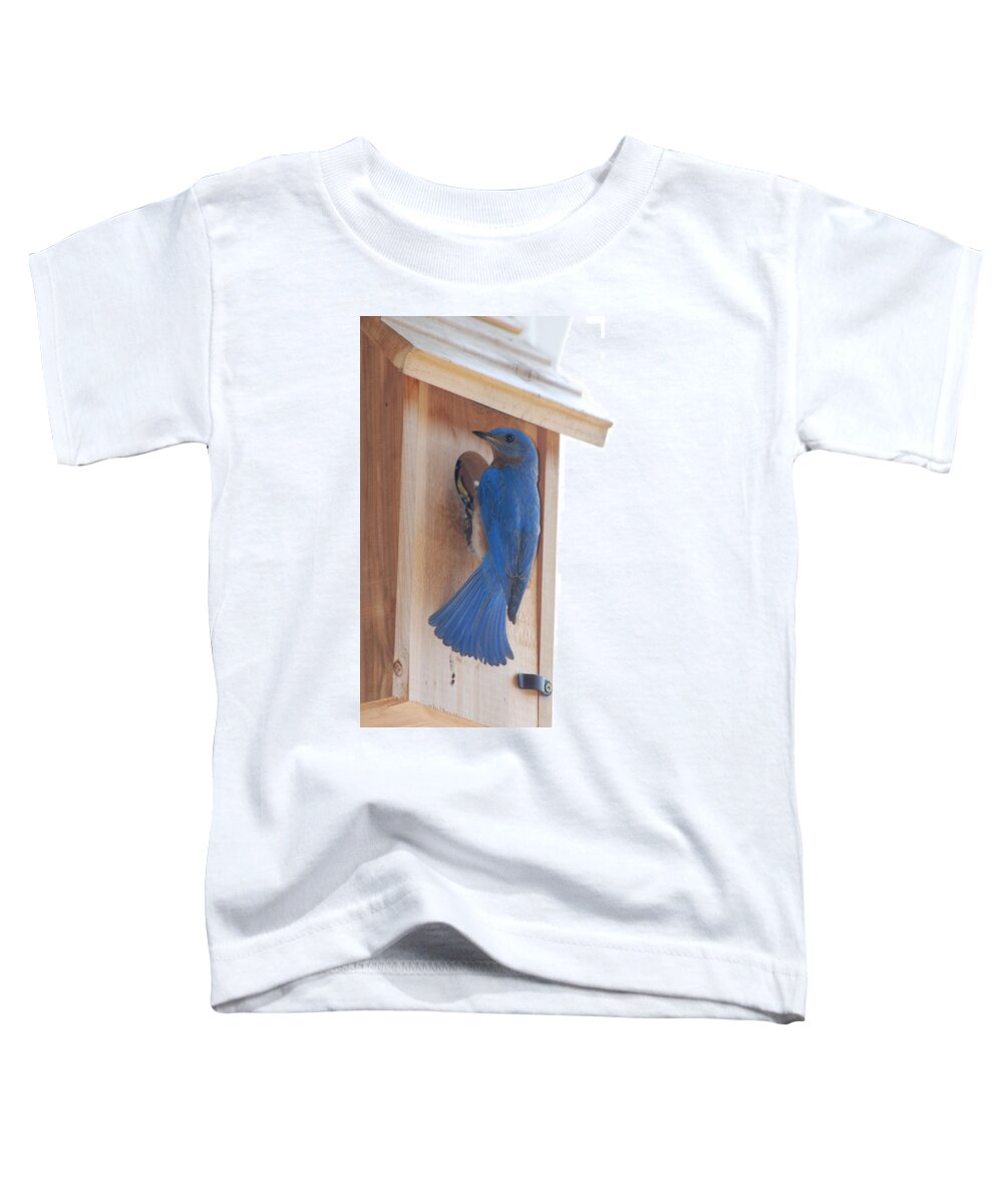 Bird Toddler T-Shirt featuring the photograph Bluebird of Happiness by Kenny Glover