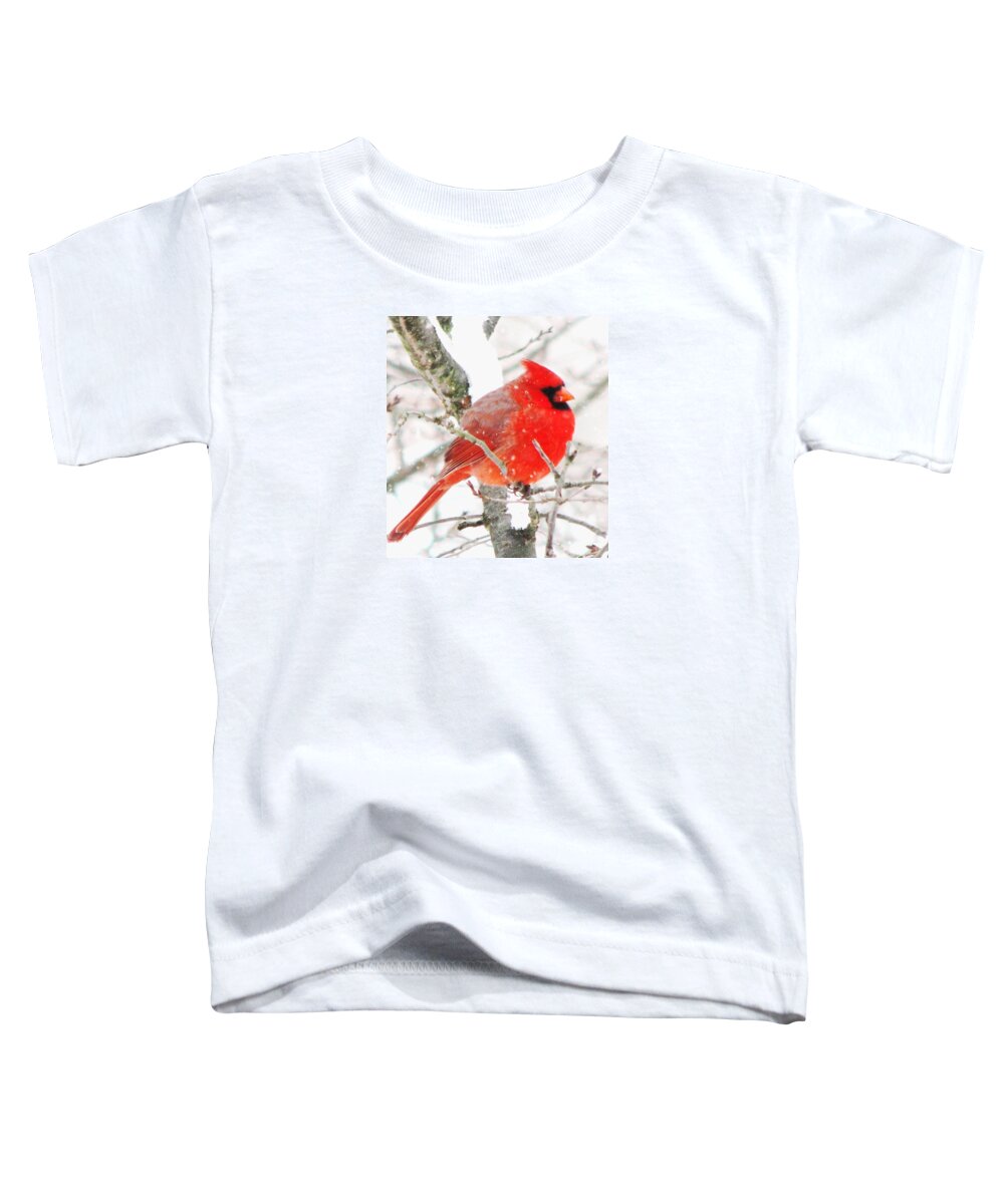 Cardinals Toddler T-Shirt featuring the photograph Braving The Storm by Angela Davies