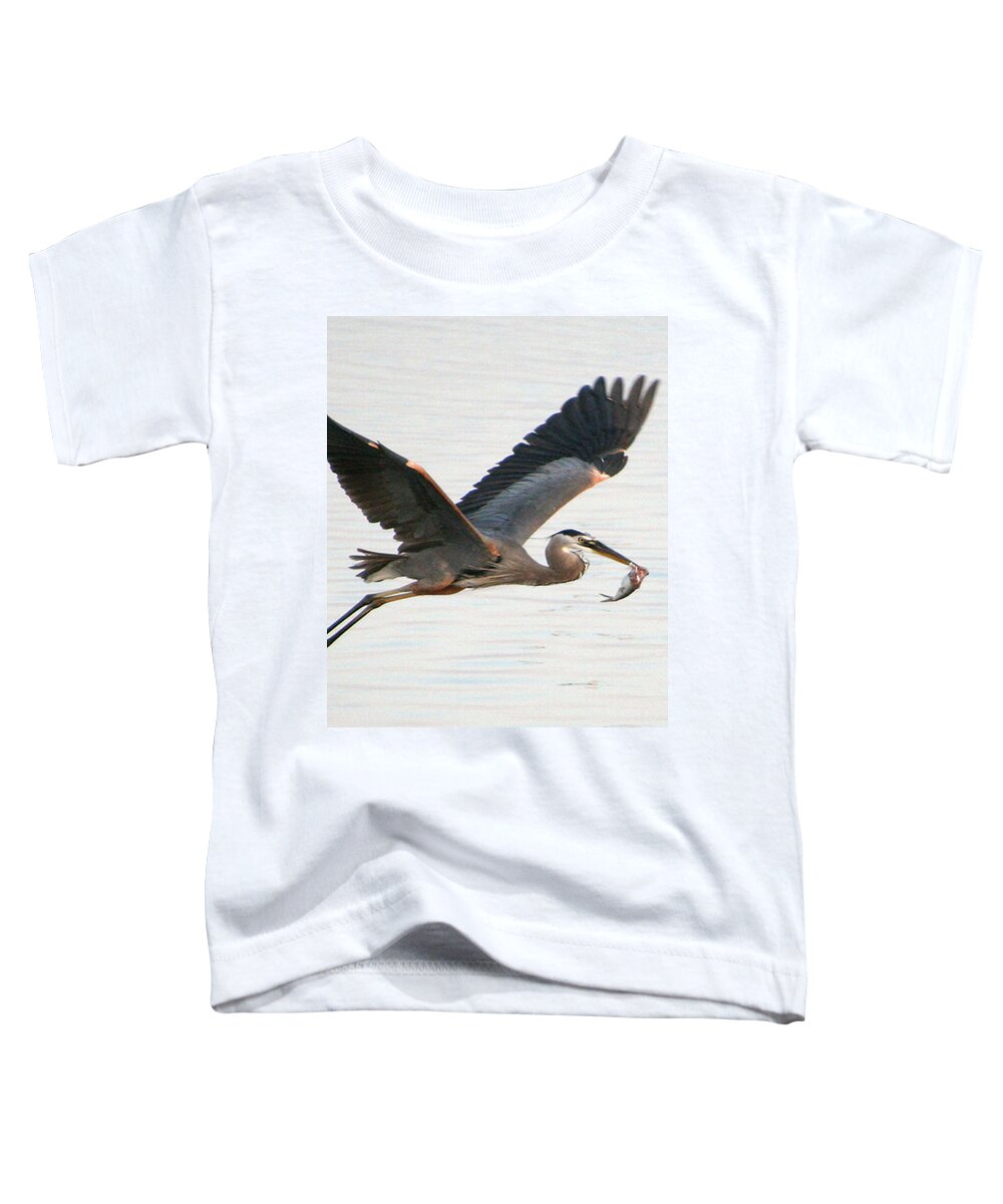 Fauna Toddler T-Shirt featuring the photograph Bringing Home Dinner by Mariarosa Rockefeller