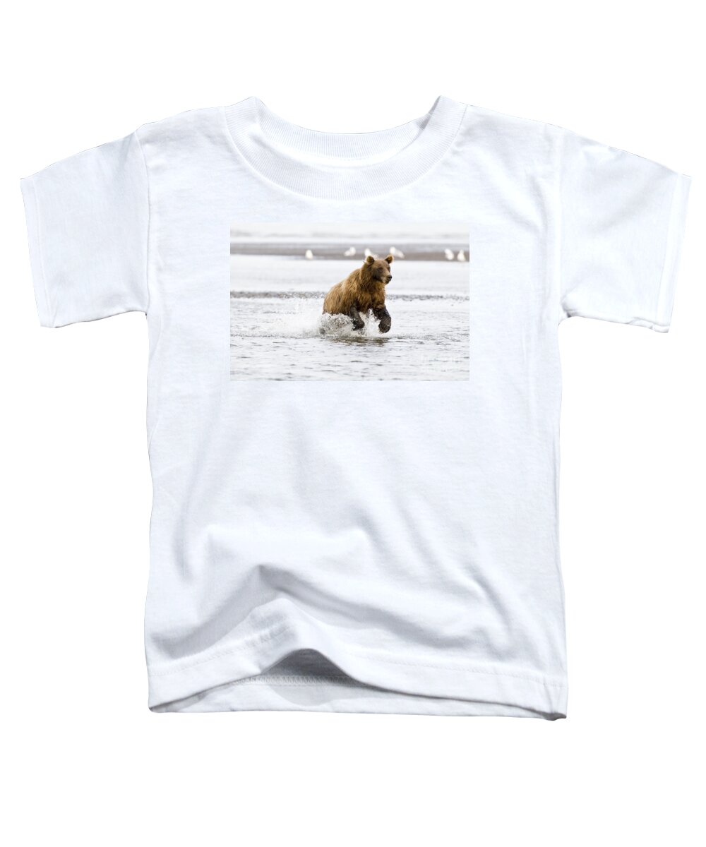 Nature Toddler T-Shirt featuring the photograph Brown Bear Chasing Salmon by William H Mullins